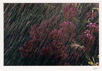 ERNST HAAS (1921-1986) Portfolio entitled The Creation.